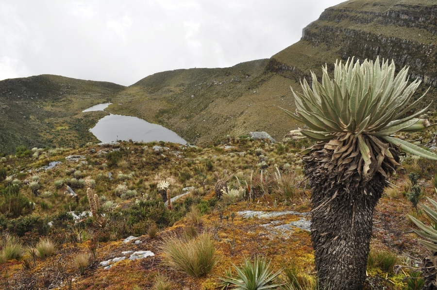 lagunafrailejon