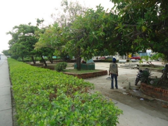 parque del cangrejo