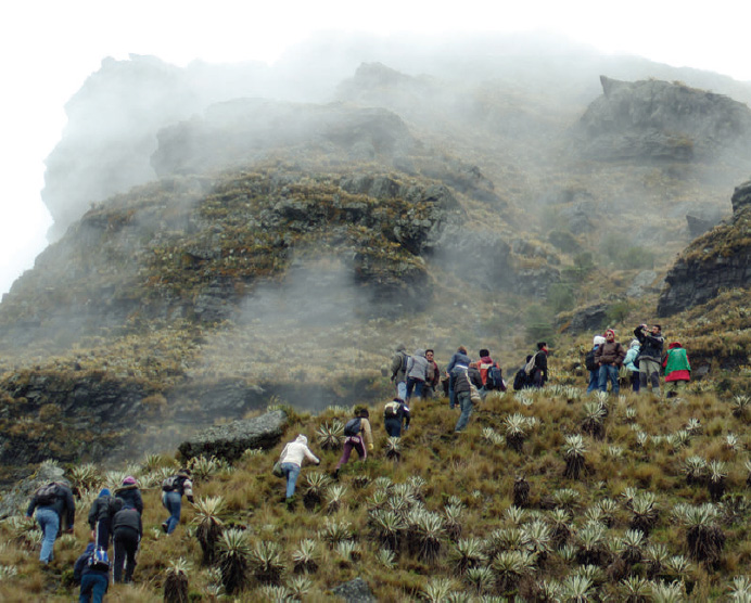 Resultado de imagen para paramo de sumapaz